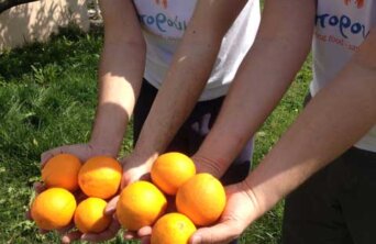 fruit_boroume_480
