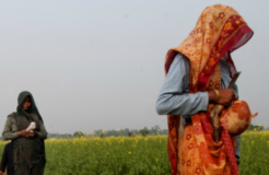 amnesty_dalitwomen