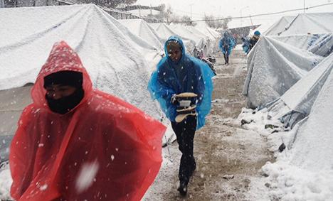 refugees