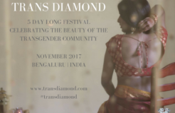 Transdiamond Transdiamond