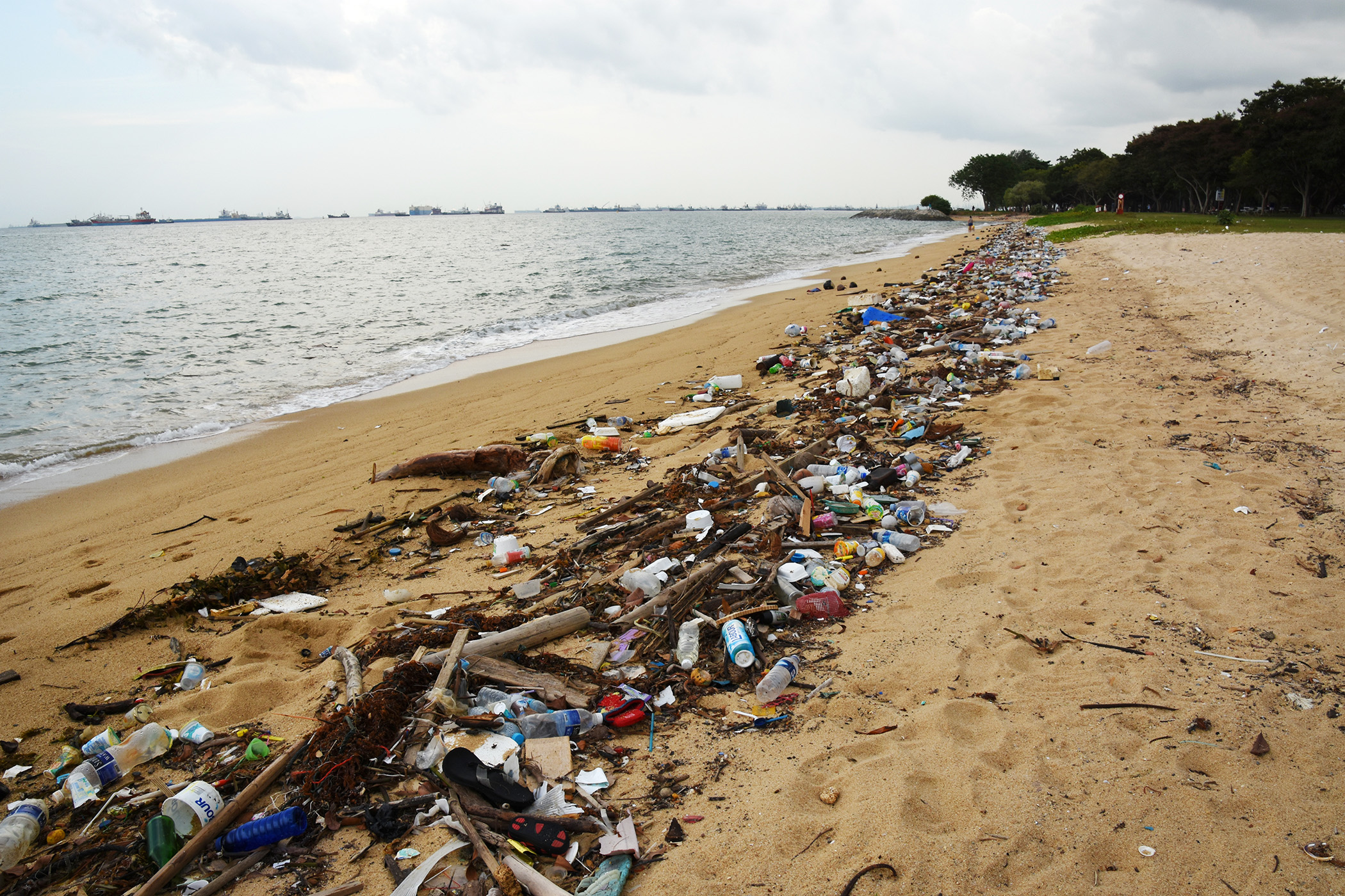 ocean-trash-singapore_vaidehi_shah