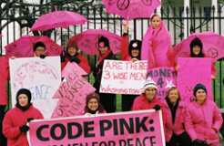 codepinkk codepinkk