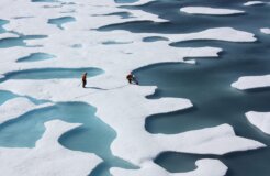 exxonknew