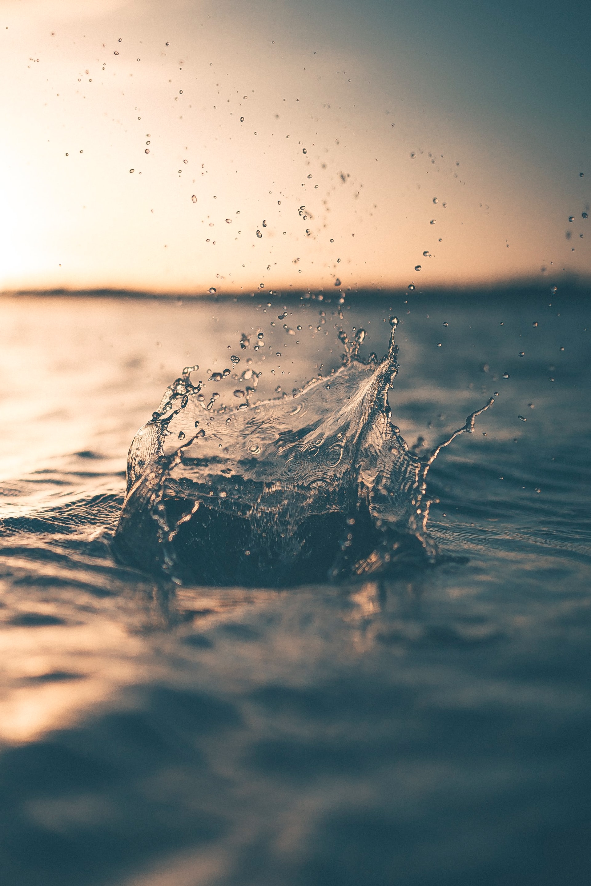 alex-perez-wEgR12N01Tk-unsplash