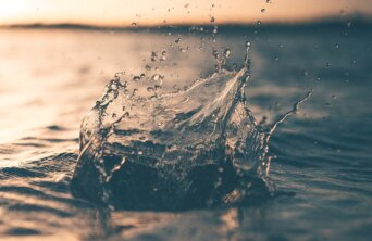 alex-perez-wEgR12N01Tk-unsplash