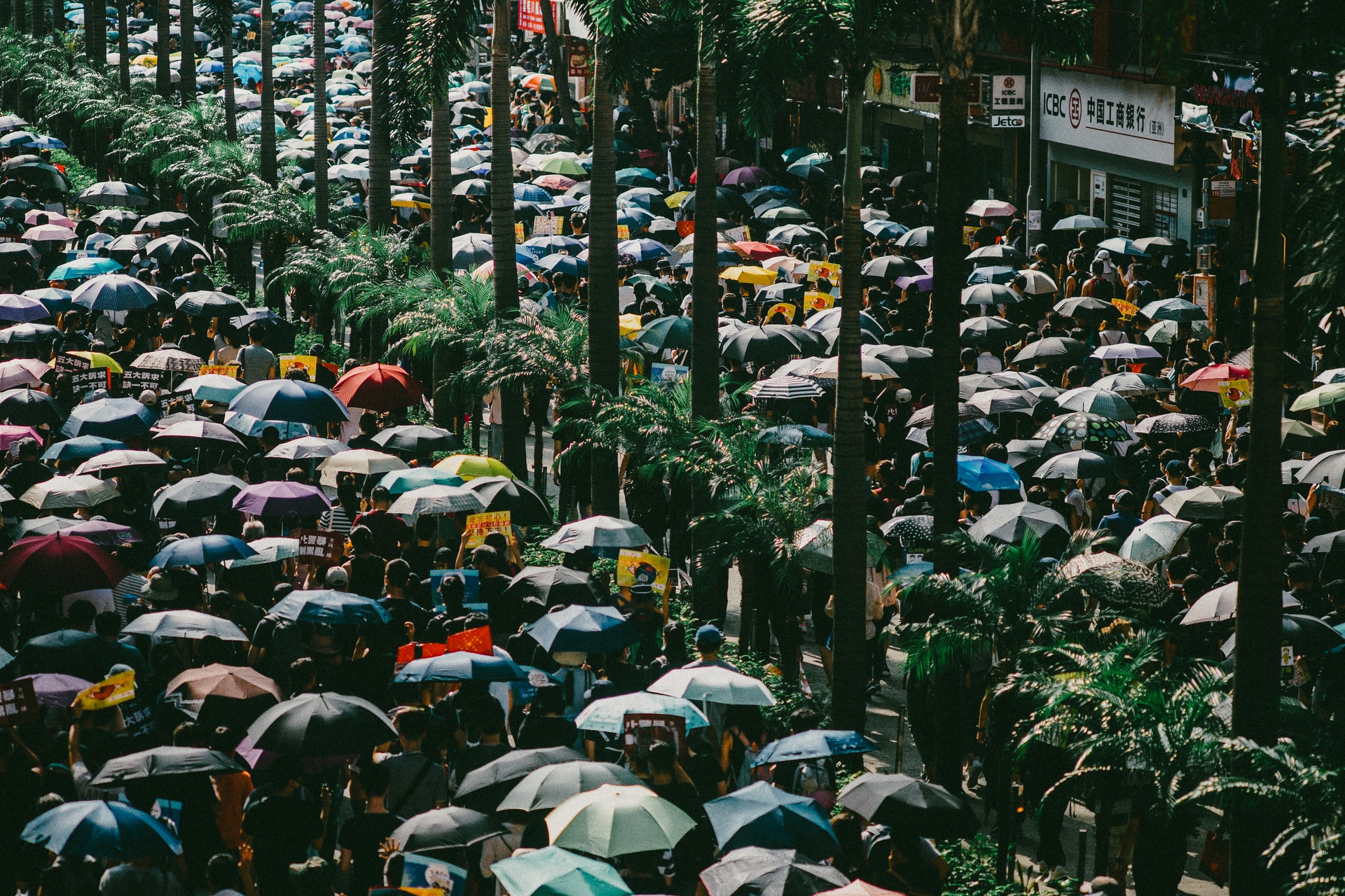 joseph-chan-uNHrmuZ6VKE-unsplash