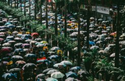 joseph-chan-uNHrmuZ6VKE-unsplash joseph-chan-uNHrmuZ6VKE-unsplash