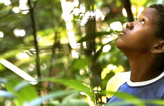 Choco-Darien_Project Choco-Darien_Project