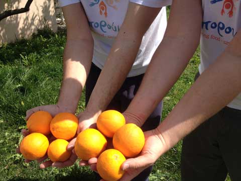 fruit_boroume_480 fruit_boroume_480