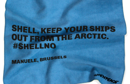 cleaning rags_shell cleaning rags_shell