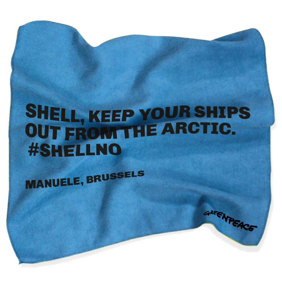 cleaning rags_shell