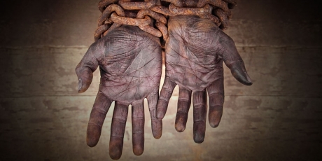 free_biram free_biram