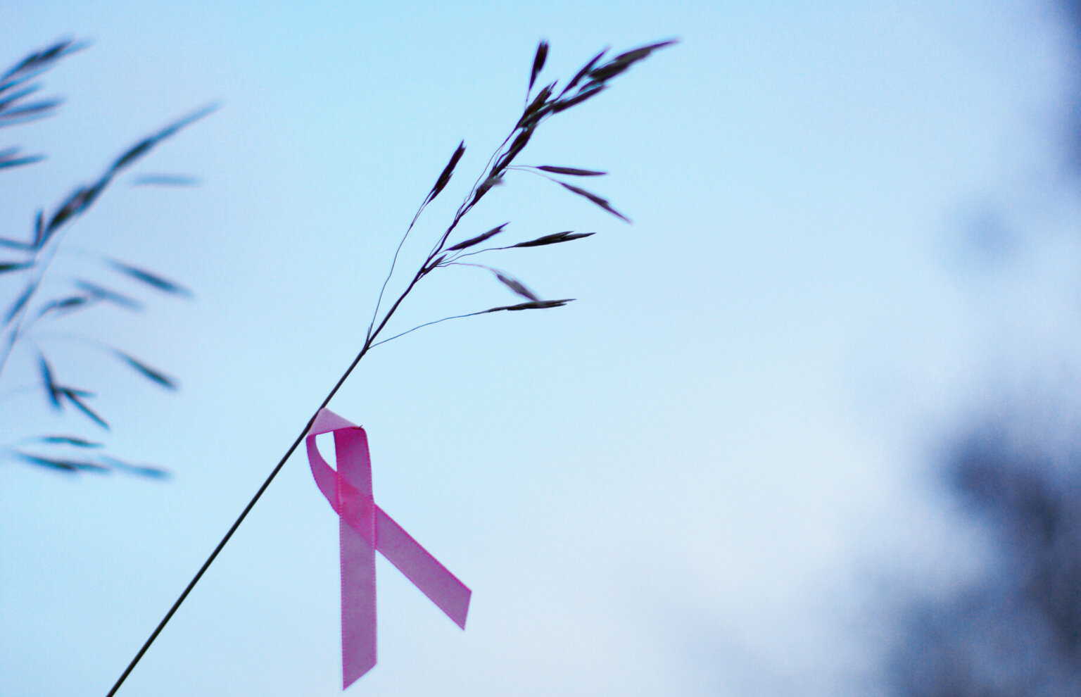HIV ribbon