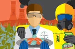 Monsanto_Bayer_merger
