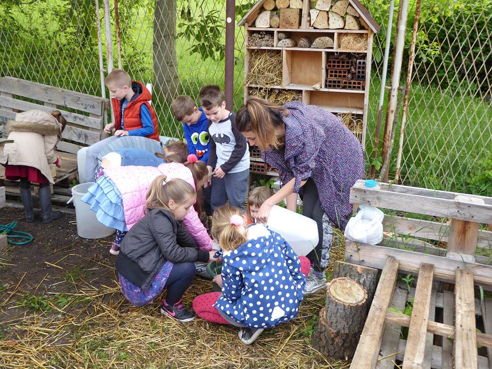 ZMAG_educationalwork ZMAG_educationalwork