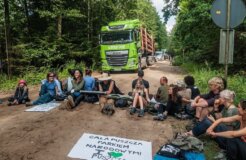 defendtheforest_poland