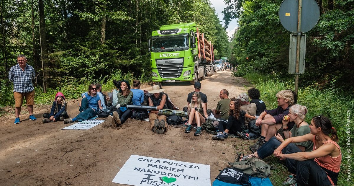 defendtheforest_poland