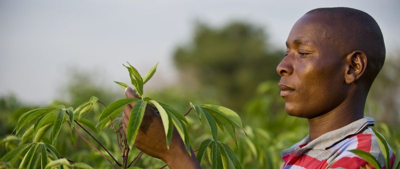 farmafrica farmafrica