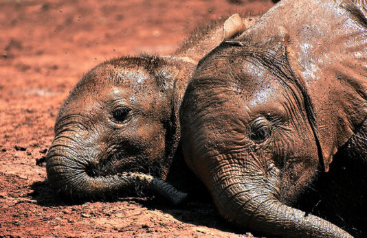 9565643076_362b46e5fc_z 9565643076_362b46e5fc_z