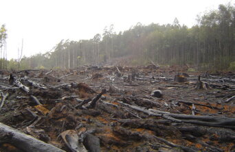 10094847976_ea9fc35fca_z