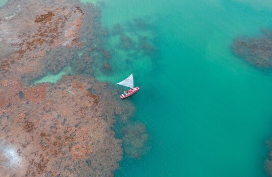 willian_justen_de_vasconcellos willian_justen_de_vasconcellos