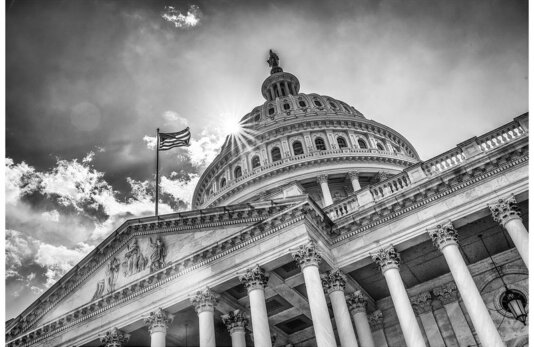 48635812902_04f4e8d06b_c 48635812902_04f4e8d06b_c