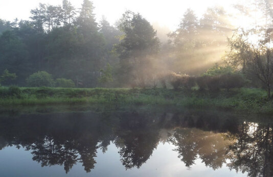 36685656630_aa609cea72_c