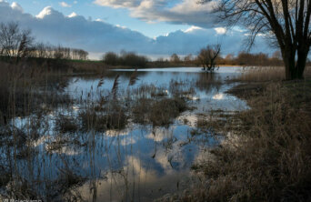 16114696027_31e4e27735_c