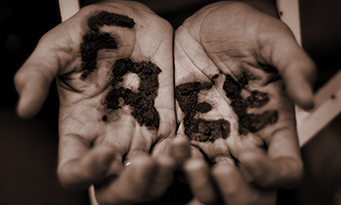 freetheslaves freetheslaves