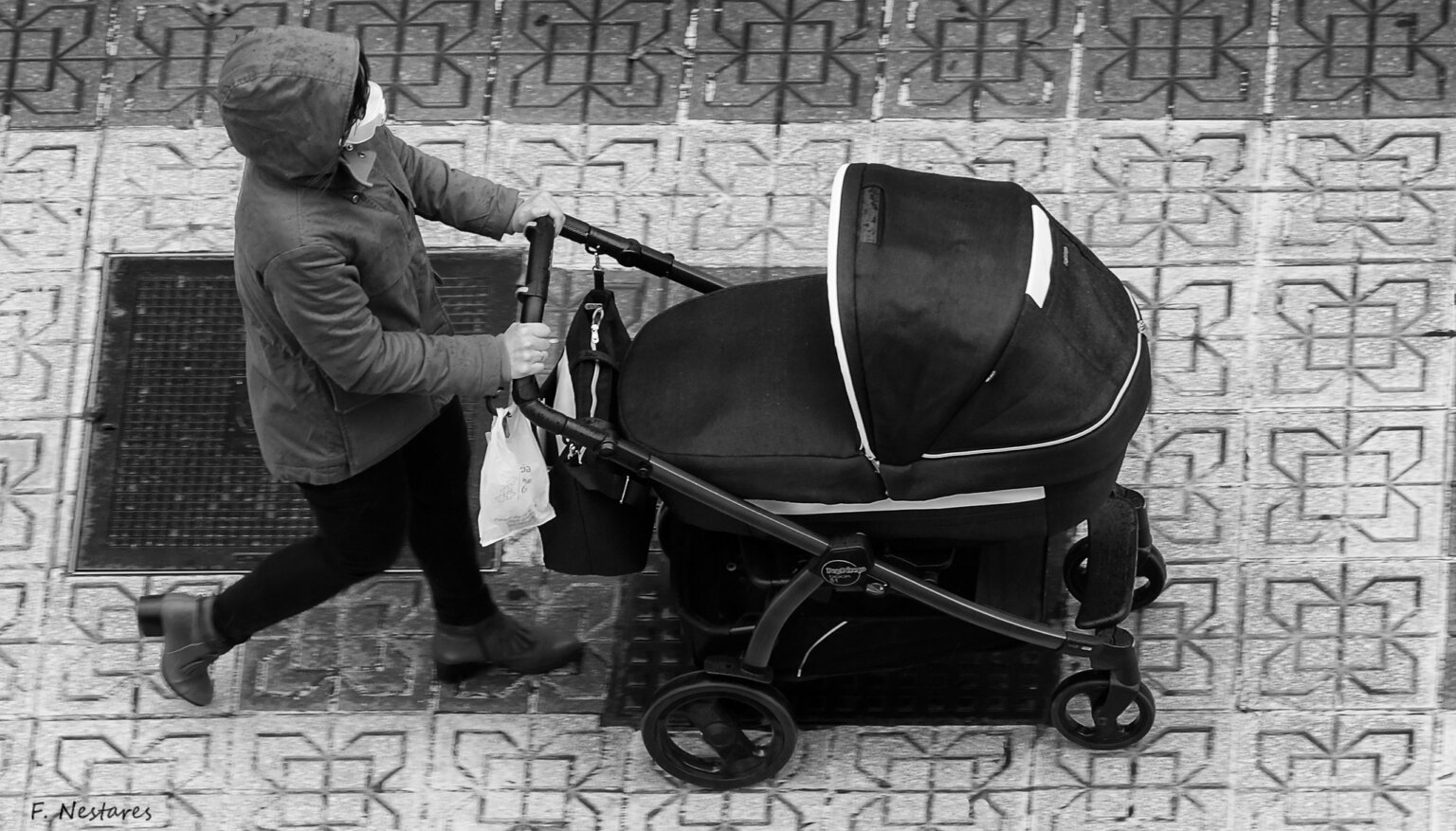 49773839512_7d6ffe56d6_k