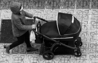 49773839512_7d6ffe56d6_k