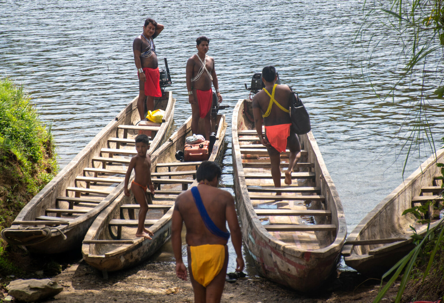 49392423707_9a19c36b61_k 49392423707_9a19c36b61_k