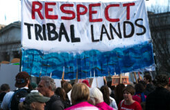 31980278153_72f3e54bad_k