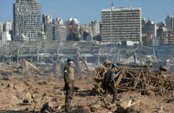 50193697222_a53579f4a0_k