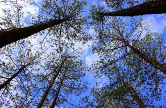 18233348784_c13b15bc15_k