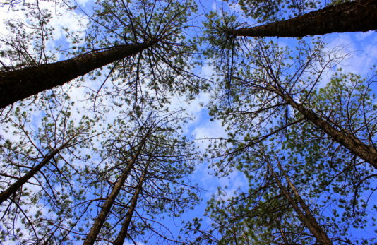 18233348784_c13b15bc15_k 18233348784_c13b15bc15_k