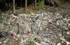 2732036054_64cf60c551_o