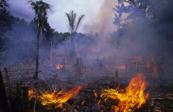 3420879809_fd2ebf7a28_b