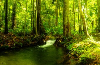 26556404466_3a780fb1d1_b