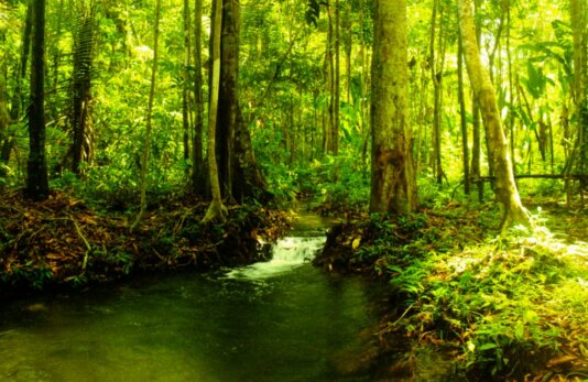 26556404466_3a780fb1d1_b