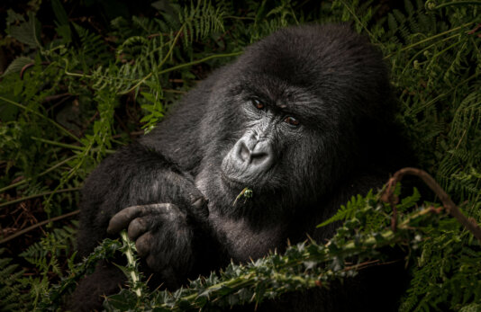 49708504097_98b8549ff2_k