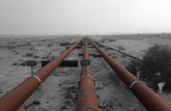 12291708324_dee4d86c51_k