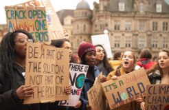 callum-shaw-7SE389kUVGw-unsplash callum-shaw-7SE389kUVGw-unsplash