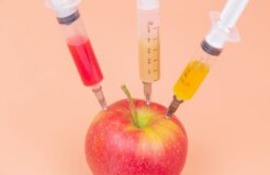 diana-polekhina-ONuLIzB0UtA-unsplash