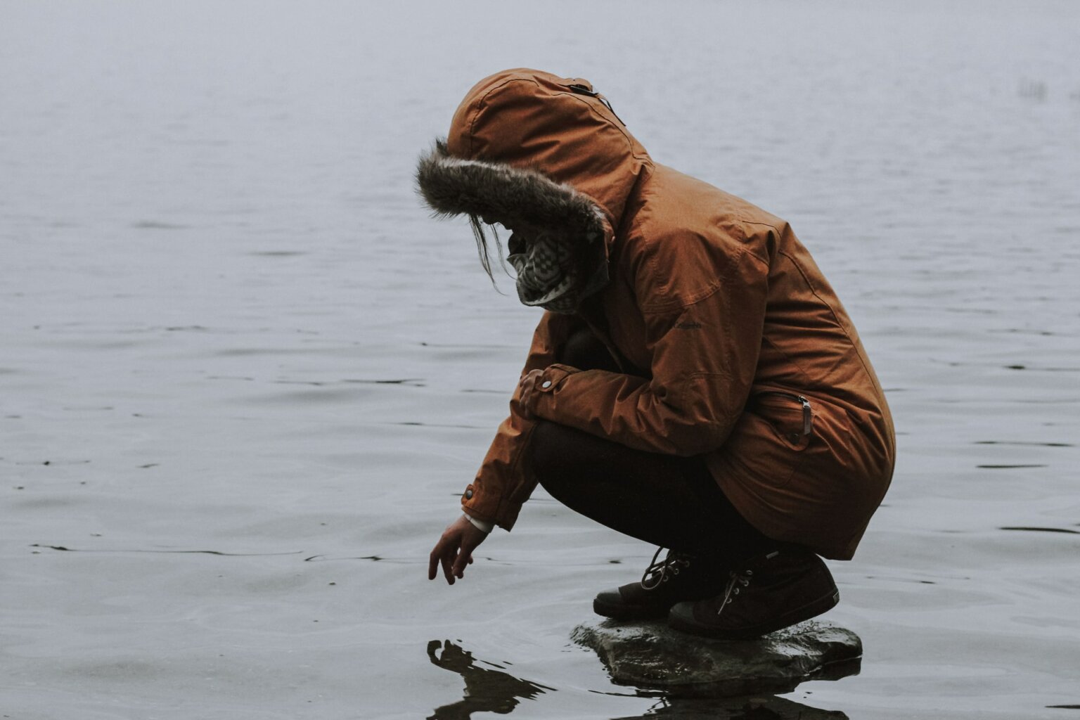 liz-weddon-b5GB4_9xG44-unsplash liz-weddon-b5GB4_9xG44-unsplash