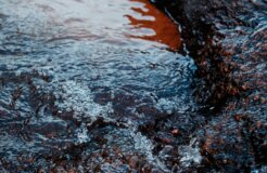 heleno-kaizer-zPye2CNMv3I-unsplash