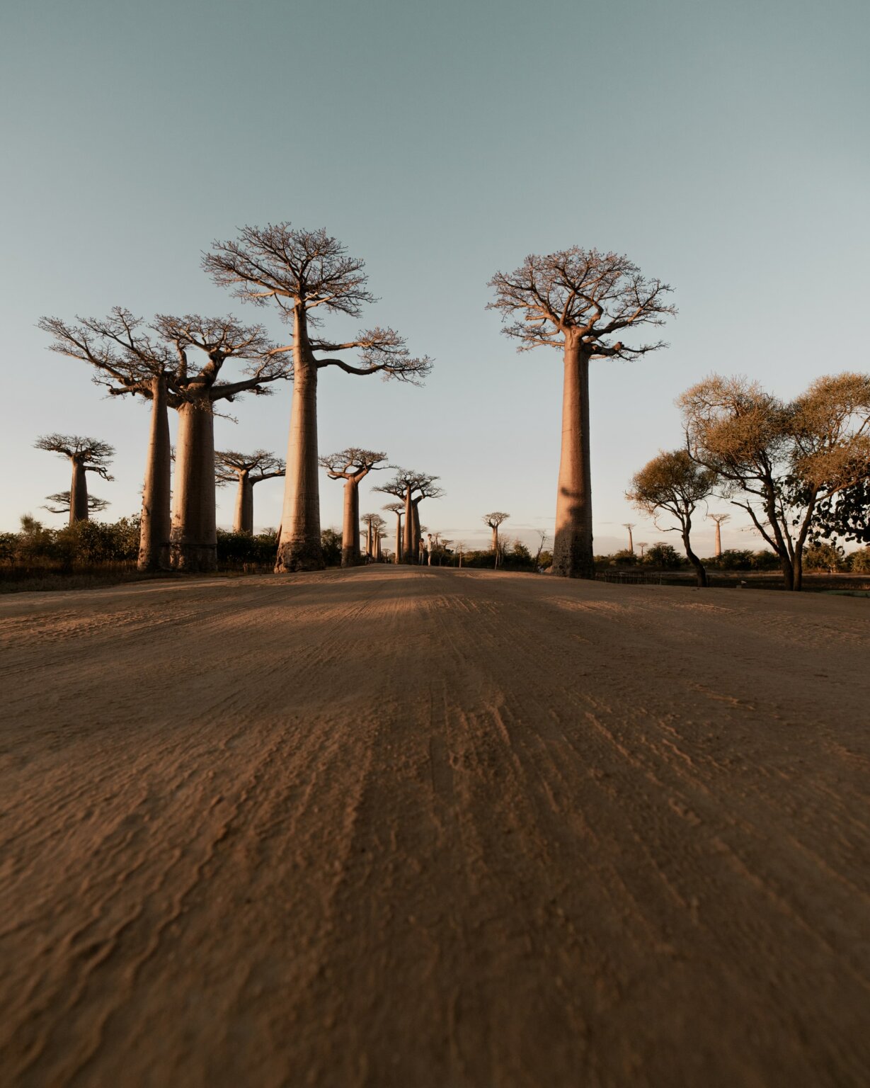 sergey-zhesterev-lUZxQVfx7aI-unsplash