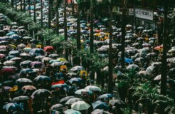 joseph-chan-uNHrmuZ6VKE-unsplash joseph-chan-uNHrmuZ6VKE-unsplash