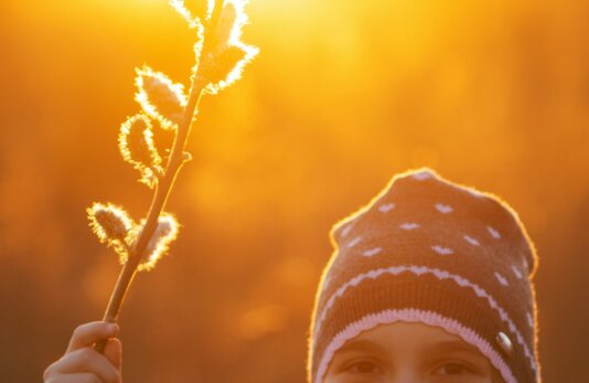 olena-bondarovska-MSSwEScy55U-unsplash olena-bondarovska-MSSwEScy55U-unsplash